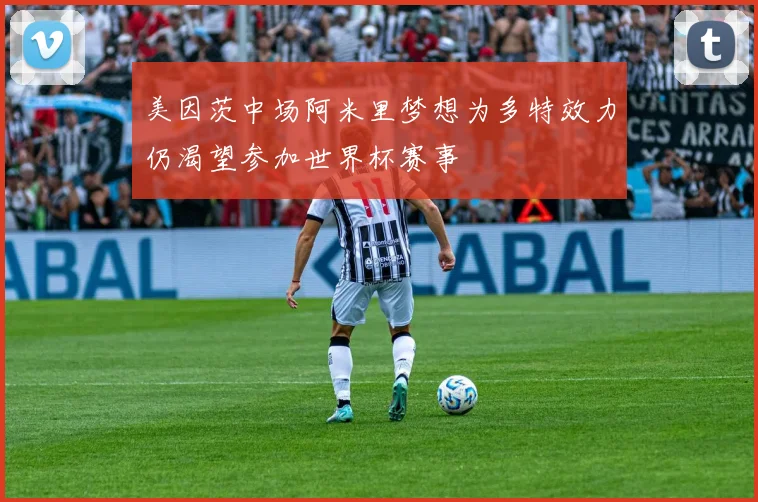 美因茨中场阿米里梦想为多特效力仍渴望参加世界杯赛事