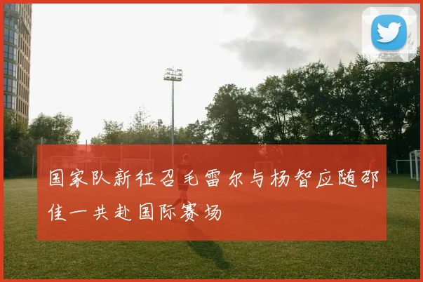 国家队新征召毛雷尔与杨智应随邵佳一共赴国际赛场